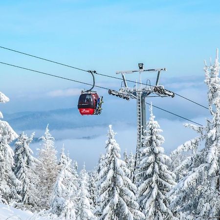 Bukova Lodge Bukowina Tatrzańska Kültér fotó
