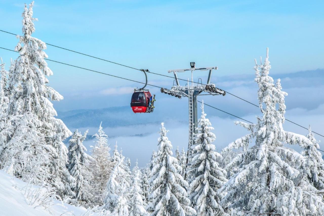 Bukova Lodge Bukowina Tatrzańska Kültér fotó